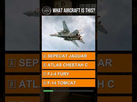 Only 1% Can Guess These Military Jets Right!