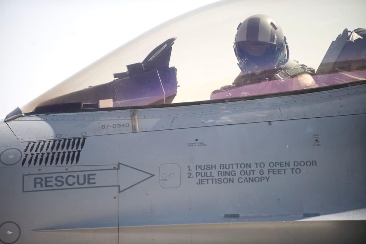 Canadair CF-5 Freedom Fighter aircraft in flight