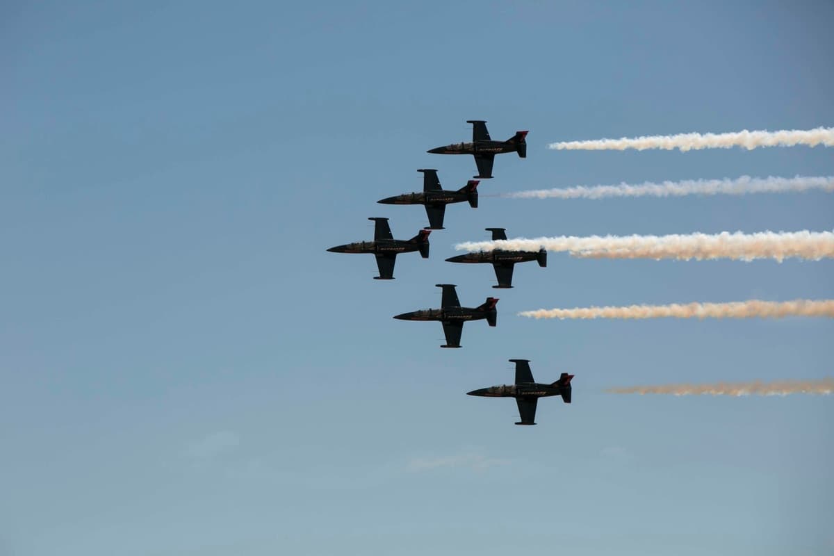 L-39 Albatros Trainer Aircraft