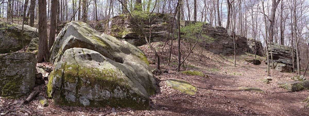 Depiction of the skirmish at Jumonville Glen that sparked the French and Indian War