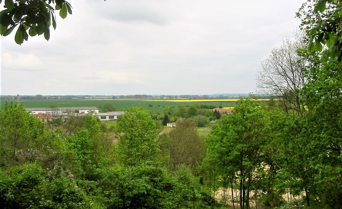Soviet artillery bombardment during the Battle of Seelow Heights, April 1945