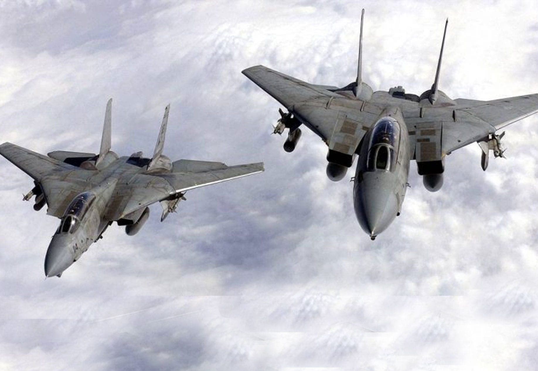 Northrop Grumman F-14 Tomcat Fighter Aircraft