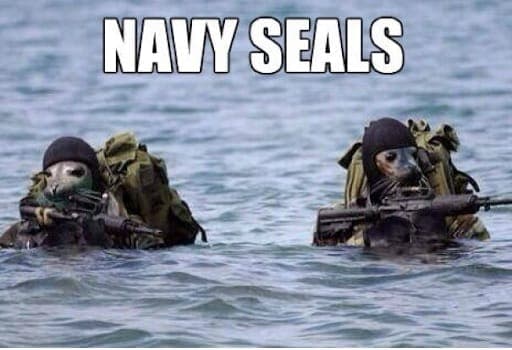 Navy Memes That Will Make Anyone Laugh