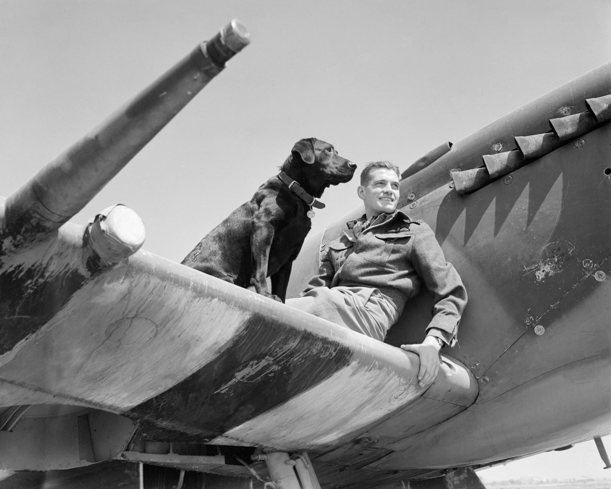 Wing Commander Johnnie Johnson standing on the wing of his Spitfire IX in Normandy, 1944