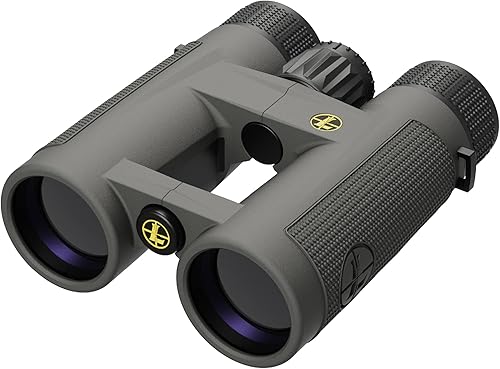 Leupold BX-4 Pro Guide HD binoculars in shadow gray