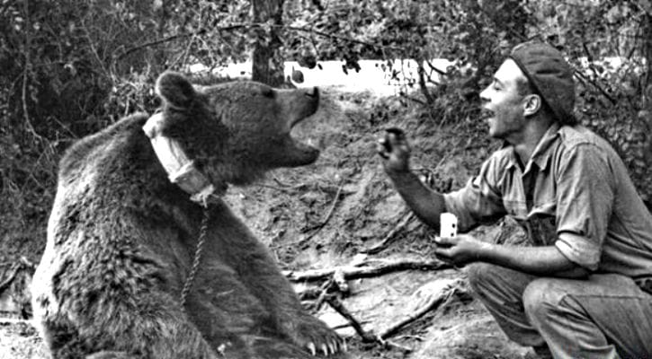 Wojtek Polish Soldier Bear