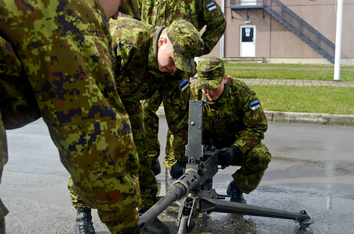 Estonian Digital Pattern Camo
