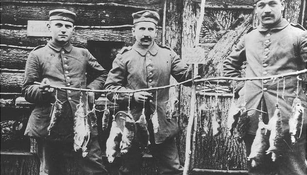 German Troops Hunting Rats