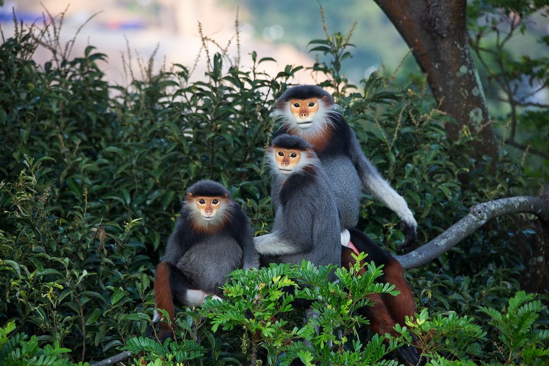 3b9d49a8 8212 48fe 8380 8fc8ff670404