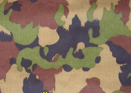 Top 20 Military Camouflage Patterns Around the World