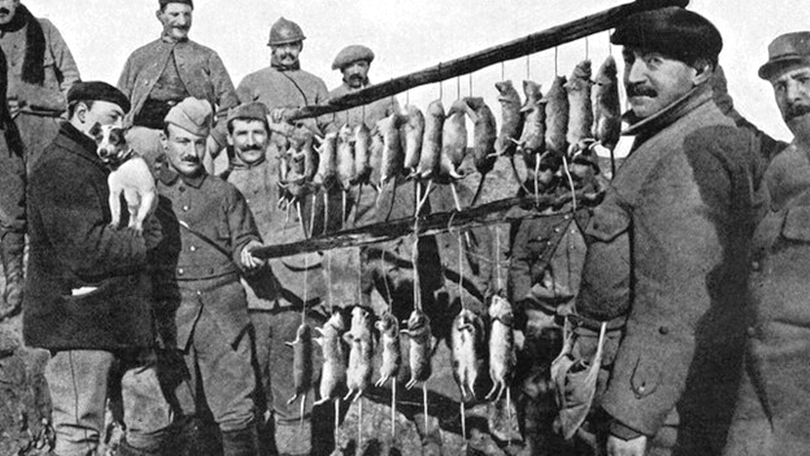 German Troops Rat Hunt World War I