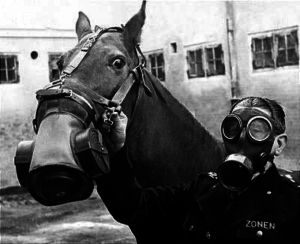 A German Horse in a Gas Mask, World War I