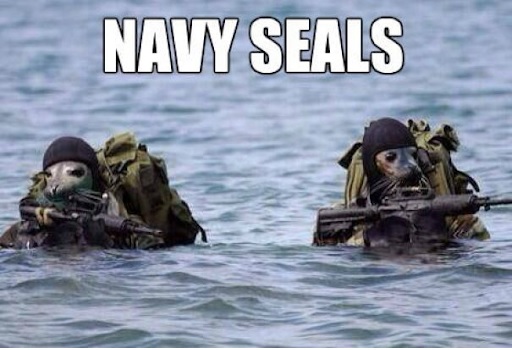 Spongebob Navy Meme